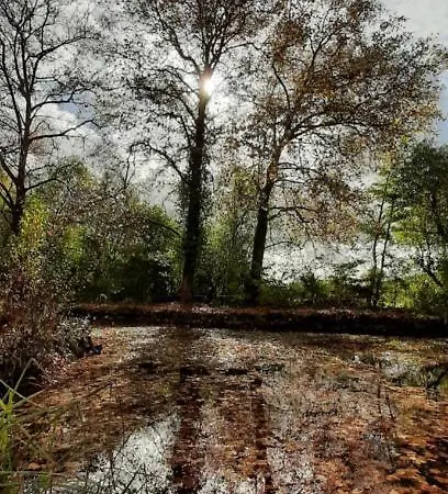 Maison Traditionnelle Avec Piscine Tatil Evi