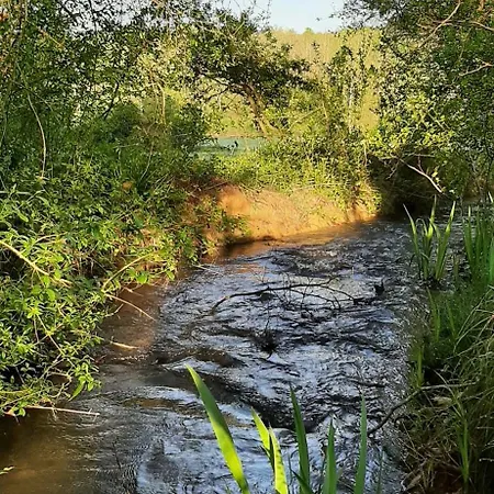 Maison Traditionnelle Avec Piscine Gourdon-en-quercy