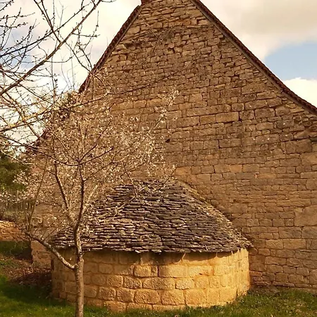 Tatil Evi Maison Traditionnelle Avec Piscine *