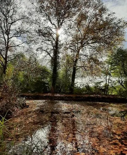 Gite De Moulin Bas Σπίτι διακοπών
