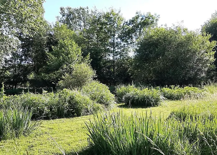 Σπίτι διακοπών Gite De Moulin Bas Gourdon-en-quercy